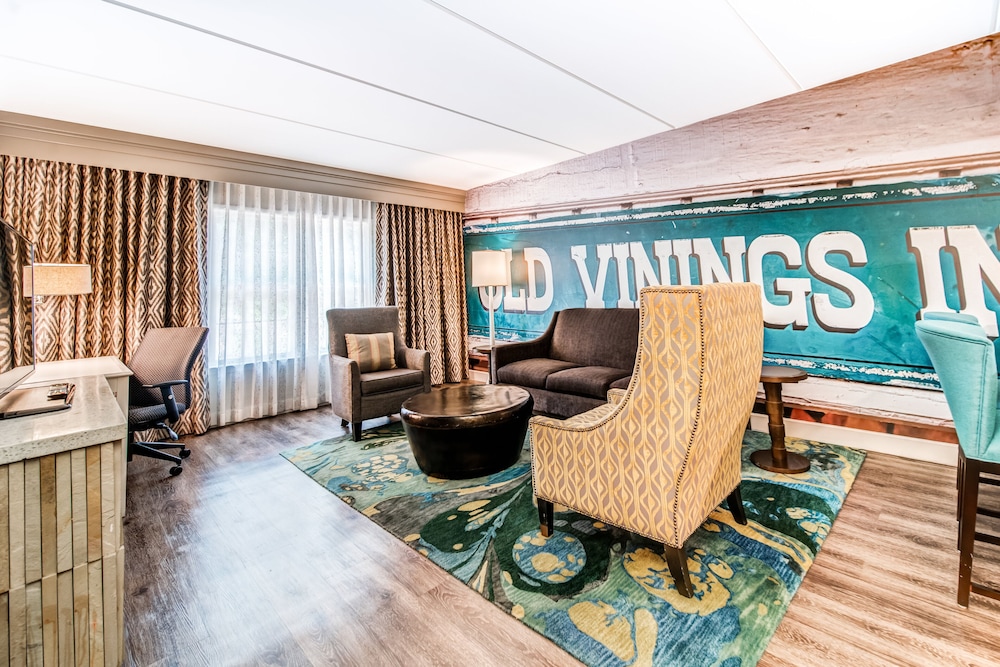 Hotel Indigo Atlanta Vinings by IHG - photo 27