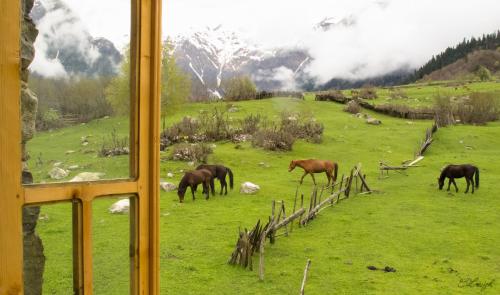 Peak Mazeri Guest House