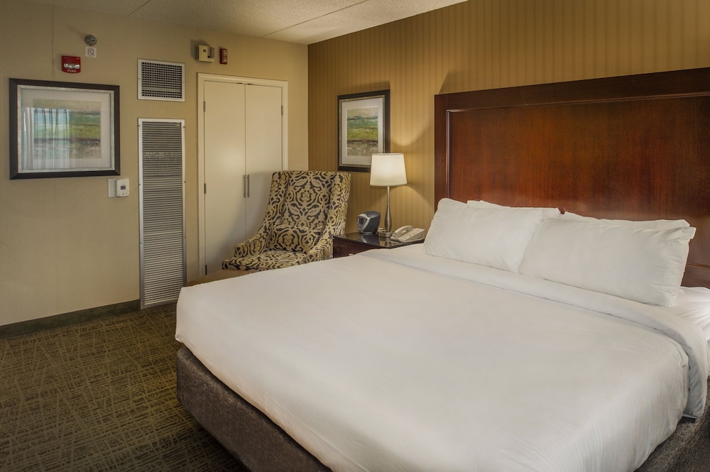 Crowne Plaza St. Louis Airport by IHG - photo 102