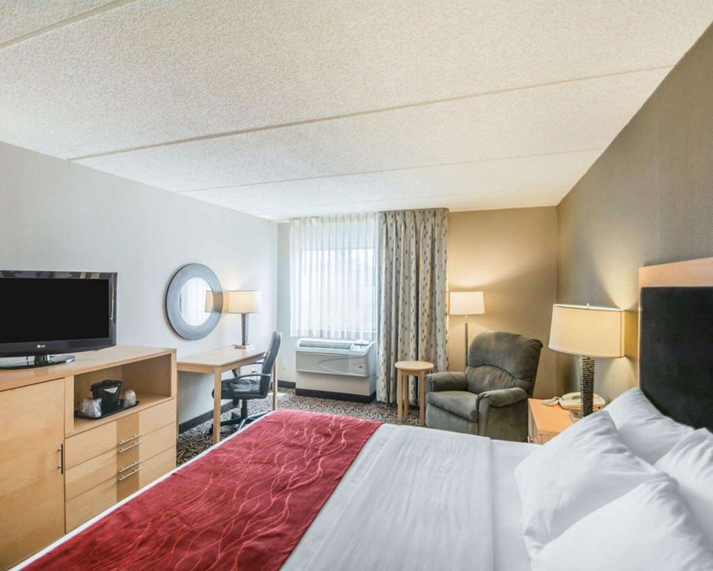 Comfort Inn NYS Fairgrounds - photo 9