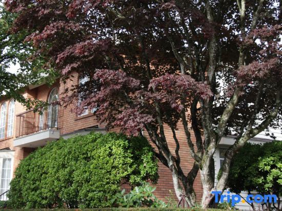 Super Cosy 8B6B in Vancouver heart near to airport in Vancouver, Canada