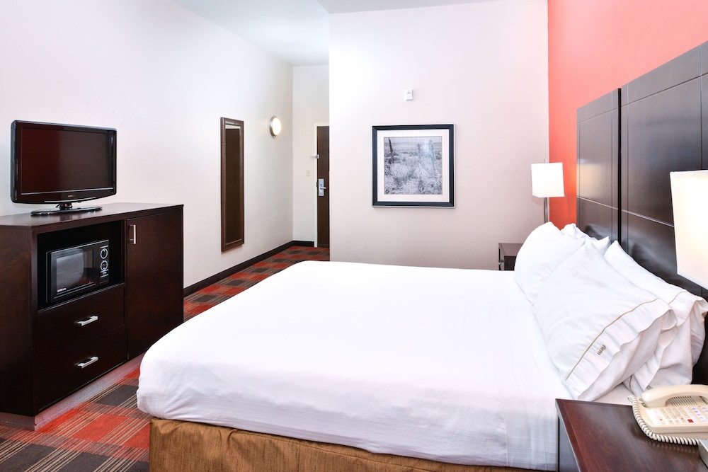 Holiday Inn Express Hotel & Suites Kingman by IHG - photo 14