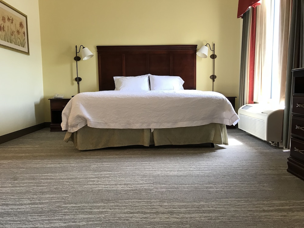 Hampton Inn & Suites Lamar - photo 14