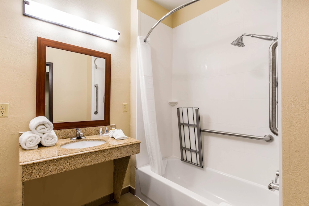 Comfort Inn & Suites IAH Bush Airport East - photo 9