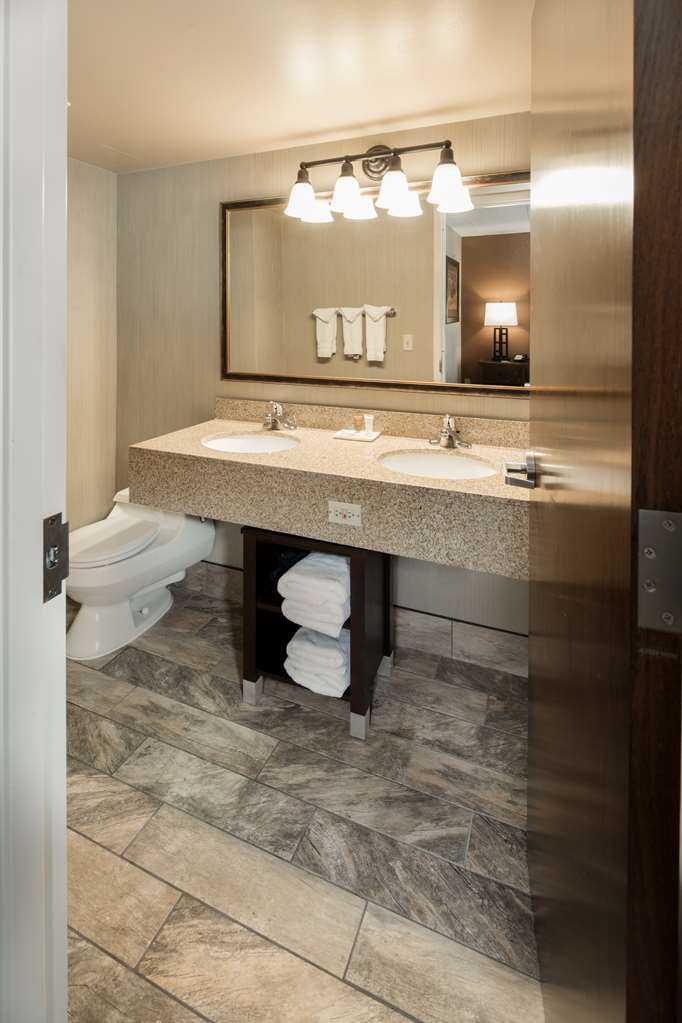 Best Western Ramkota Hotel - photo 20