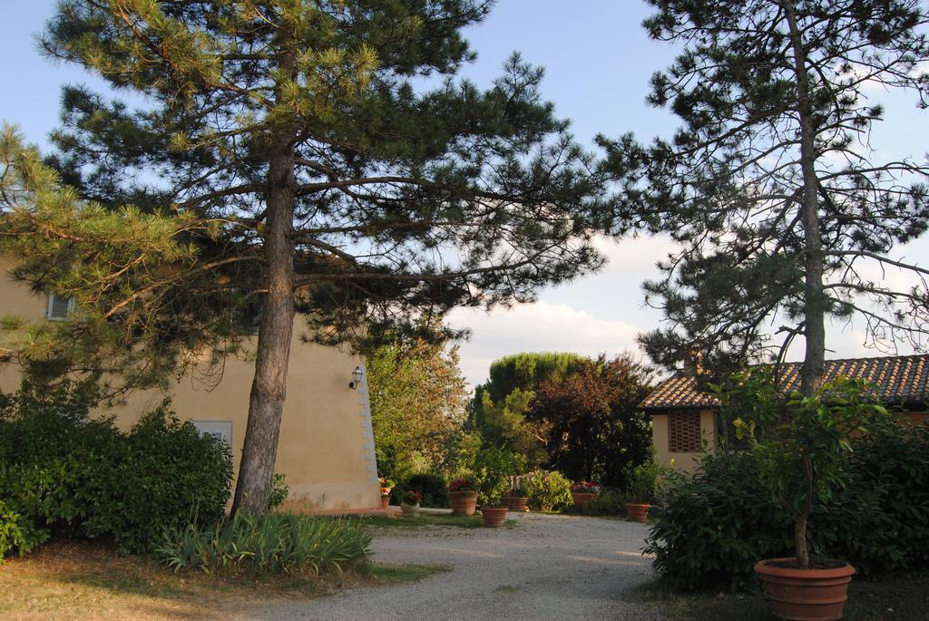 Il Colombaio — Siena — photo 3