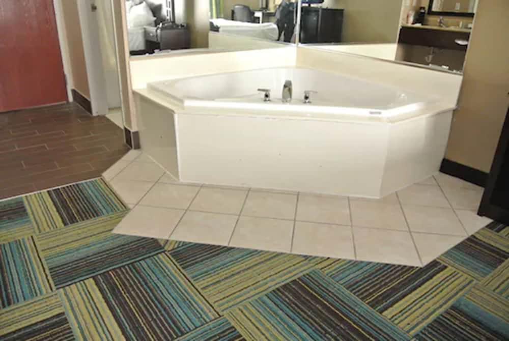 Quality Inn & Suites Arnold St Louis - photo 33