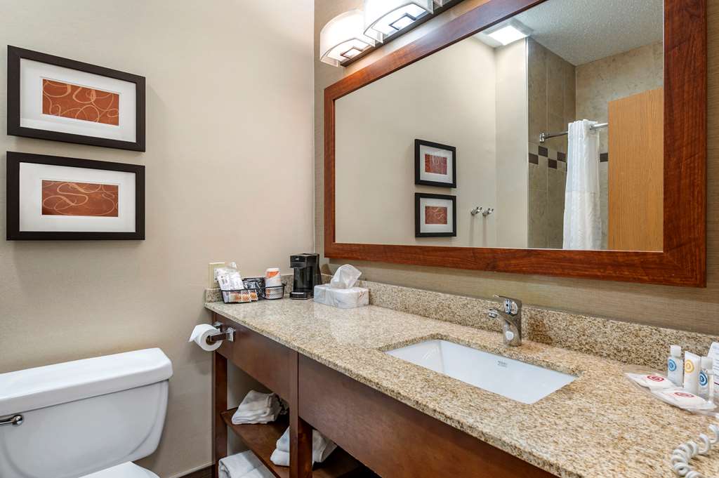 Comfort Suites Columbus West Hilliard - photo 17