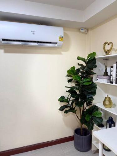 10Min 曼谷独栋chatuchack Kasetsart精品别墅 Mystory House