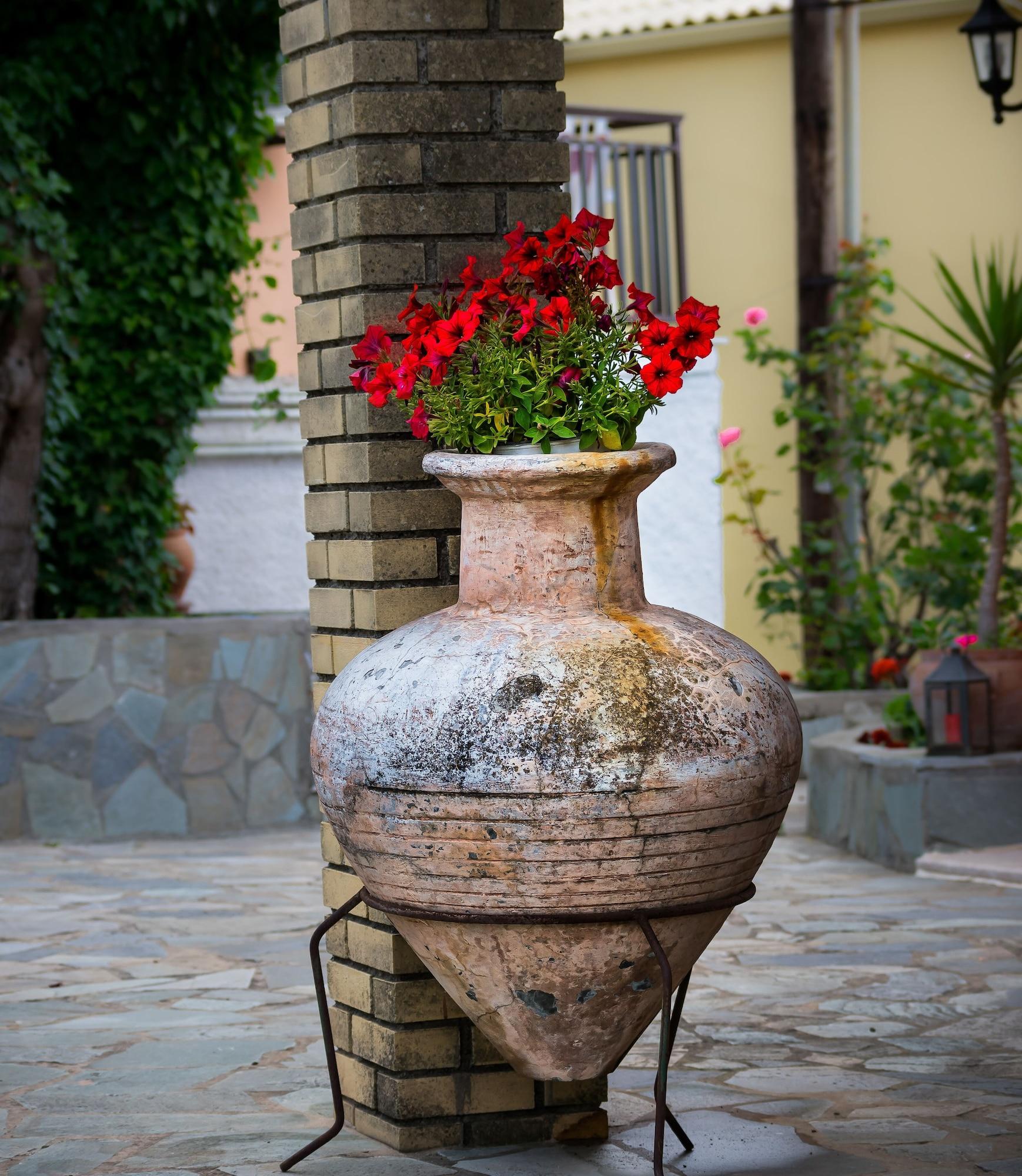 Oasis Hotel - carbon neutral hotel in Corfu