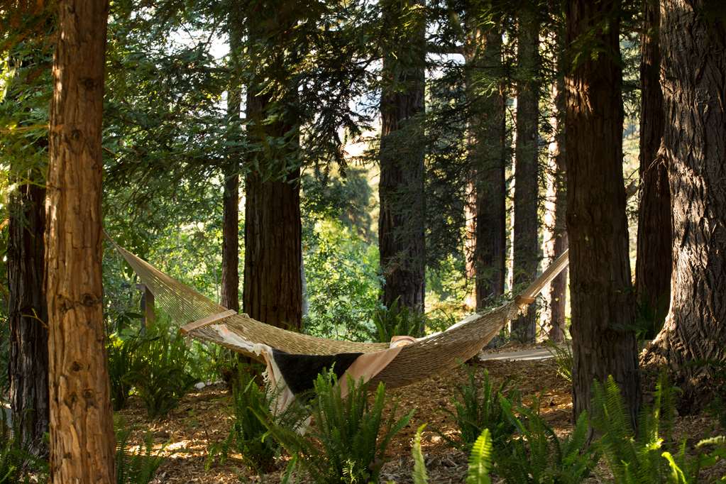 Ventana Big Sur an Alila Resort - photo 24