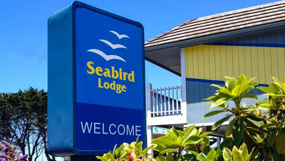 Seabird Lodge - photo 39