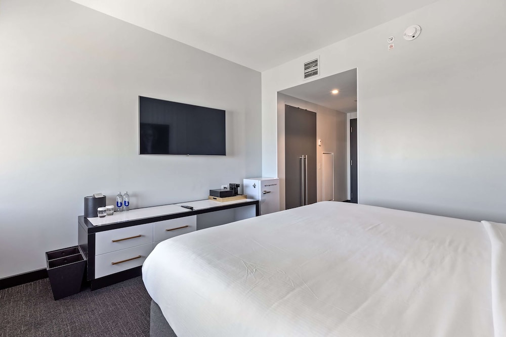 The Rose Chicago Tapestry Collection by Hilton - photo 28