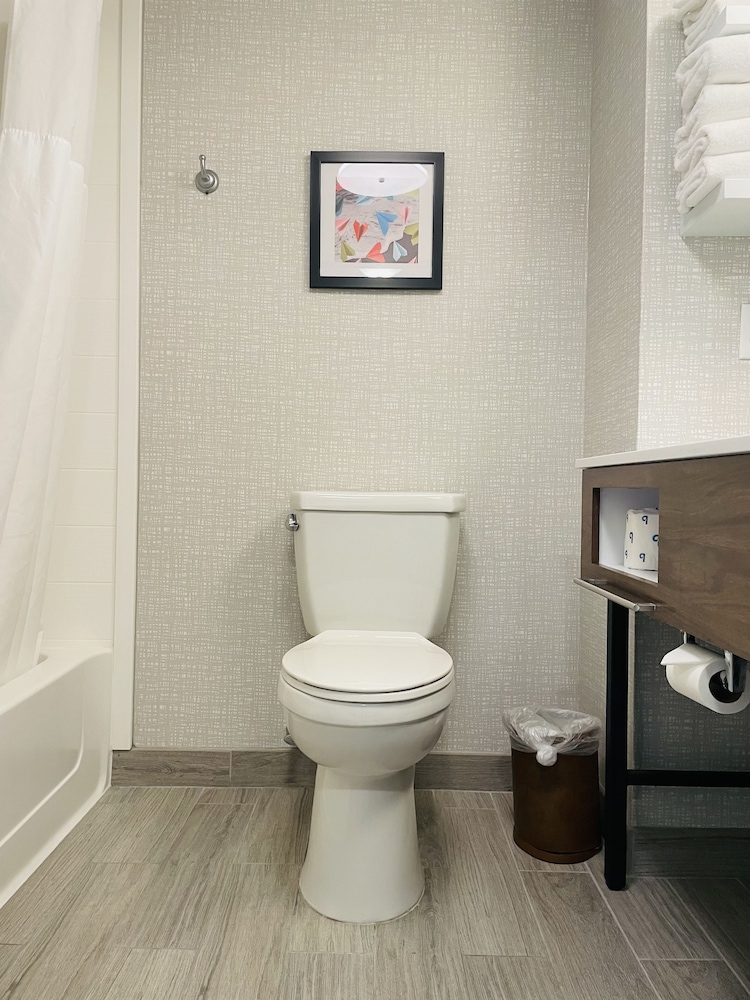 Hampton Inn & Suites Sarasota Bradenton Airport FL - photo 53