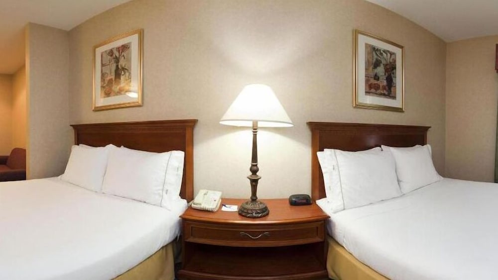 Holiday Inn Express Hotel & Suites Woodhaven by IHG - photo 7