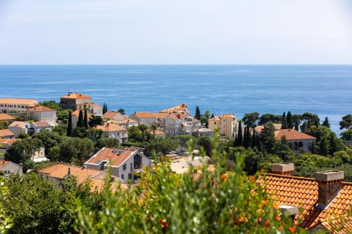 SunSpot Apartment beautiful view with big garden free parking central