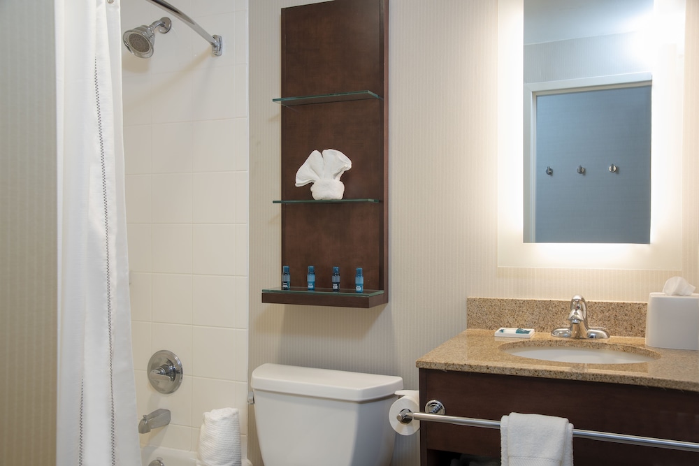 Delta Hotels by Marriott Kalamazoo Conference Center - photo 15