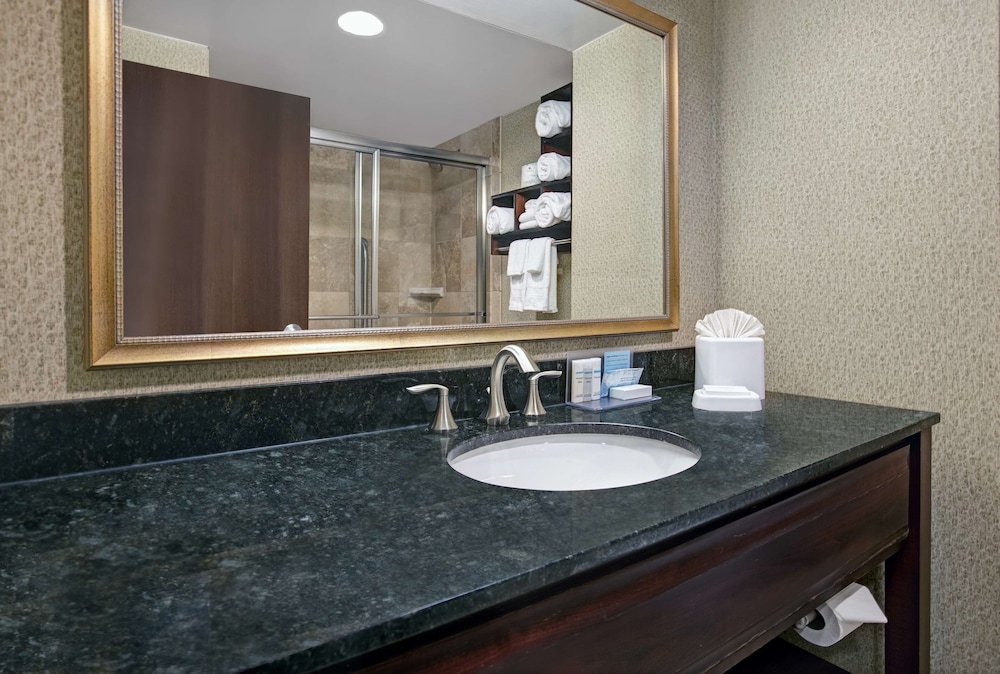 Hampton Inn Greenville I 385 Woodruff Rd. - photo 15