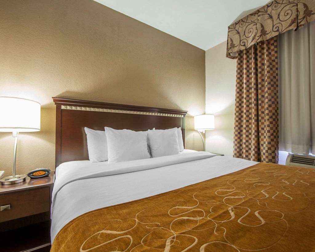 Comfort Suites London South - photo 23