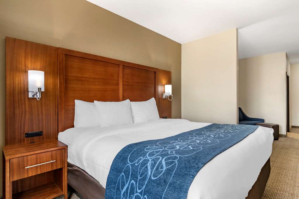 Comfort Suites Buda Austin South - photo 5