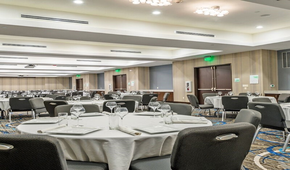 Holiday Inn Austin Airport by IHG - photo 43
