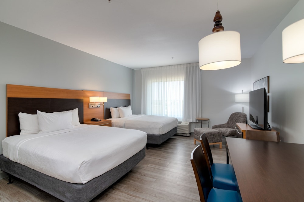 TownePlace Suites Dallas McKinney - photo 14