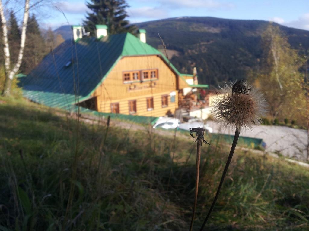 Penzion Alenka in Spindleruv Mlyn, Czech Republic