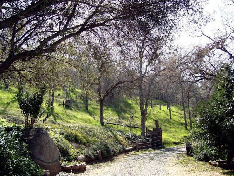 Bellevue Guesthouse - photo 12