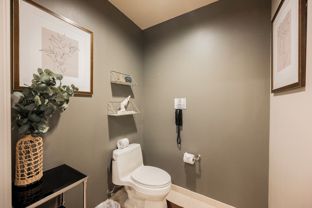 StripViewSuites at Signature - photo 237