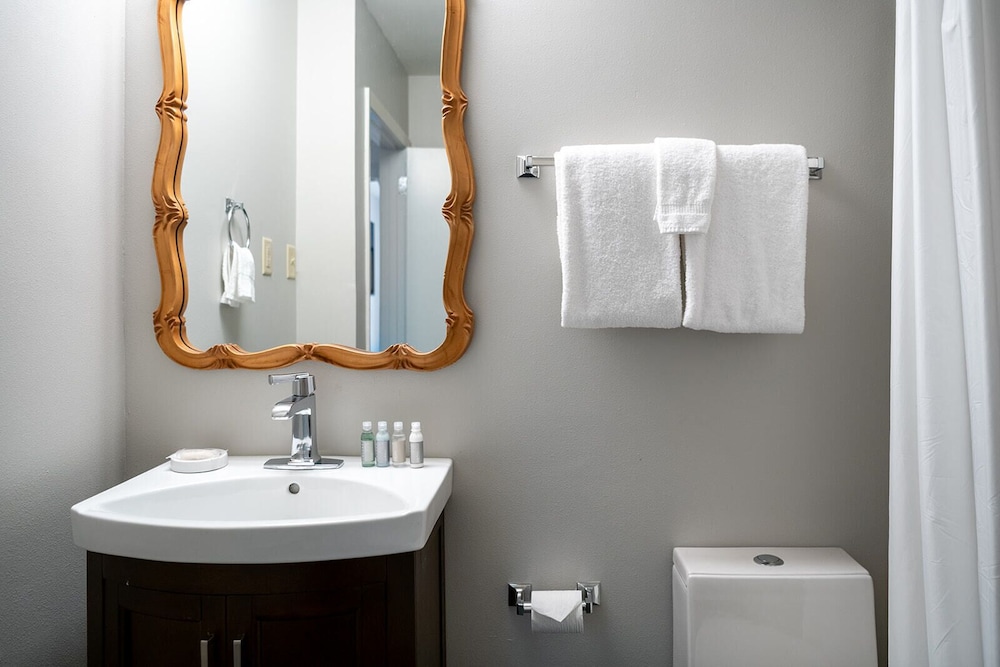 French Quarter Suites Hotel - photo 35