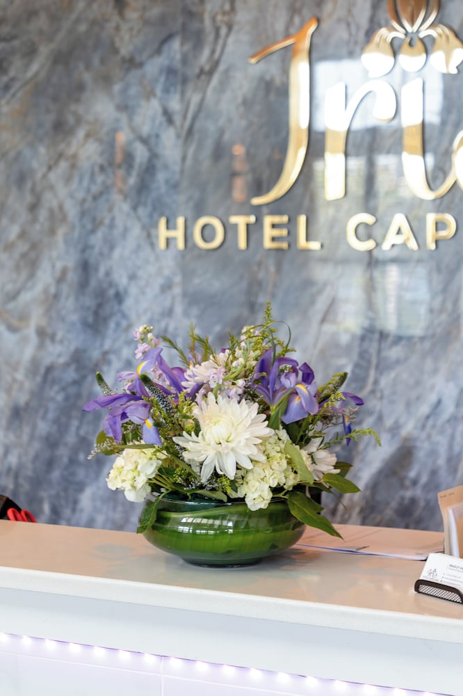 Hotel Cape Cod Falmouth in Falmouth, United States