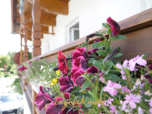 Ihre Ferienwohnung bayrisch mehr... — 4-Star Luxury Hotel in Gstadt Am Chiemsee, Germany