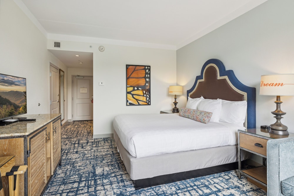 Dollywood's DreamMore Resort - photo 19