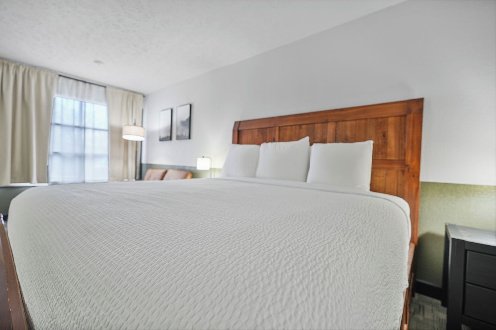 Tremont Lodge & Resort - photo 66