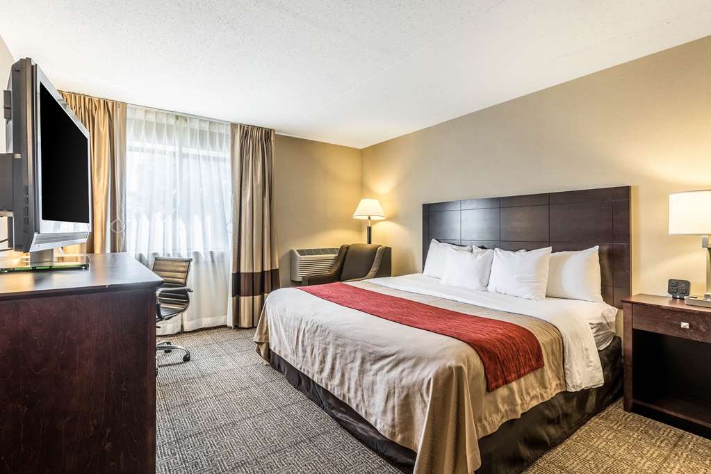 Comfort Inn Lansing West - photo 10