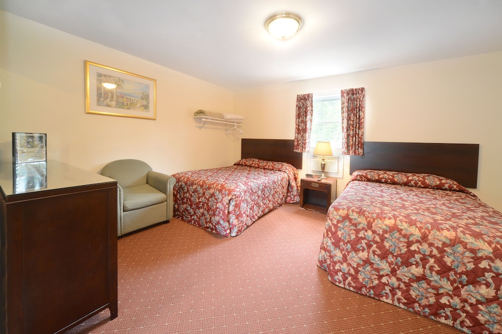 Studio Motel - photo 33