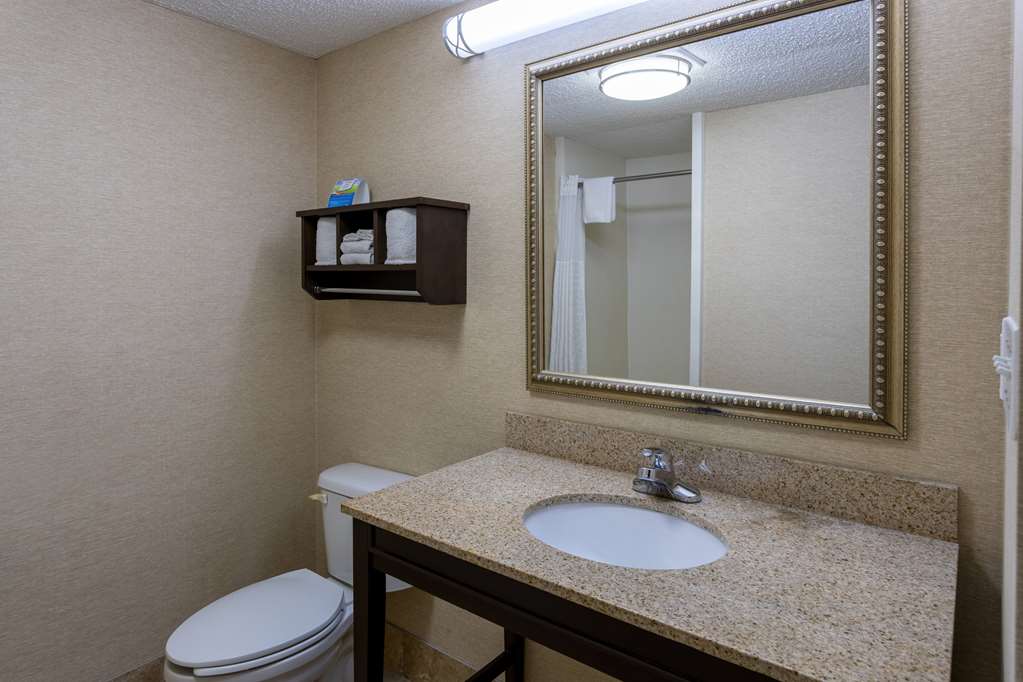 Baymont by Wyndham Saraland - photo 29