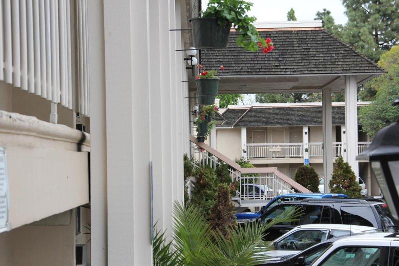 Caravelle Inn Suites - photo 17