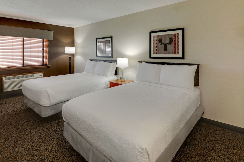 Stoney Creek Hotel Peoria - photo 8