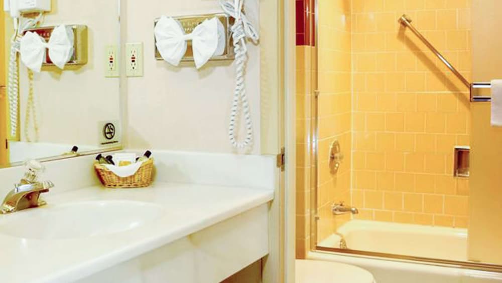 Ruby Inn - photo 15
