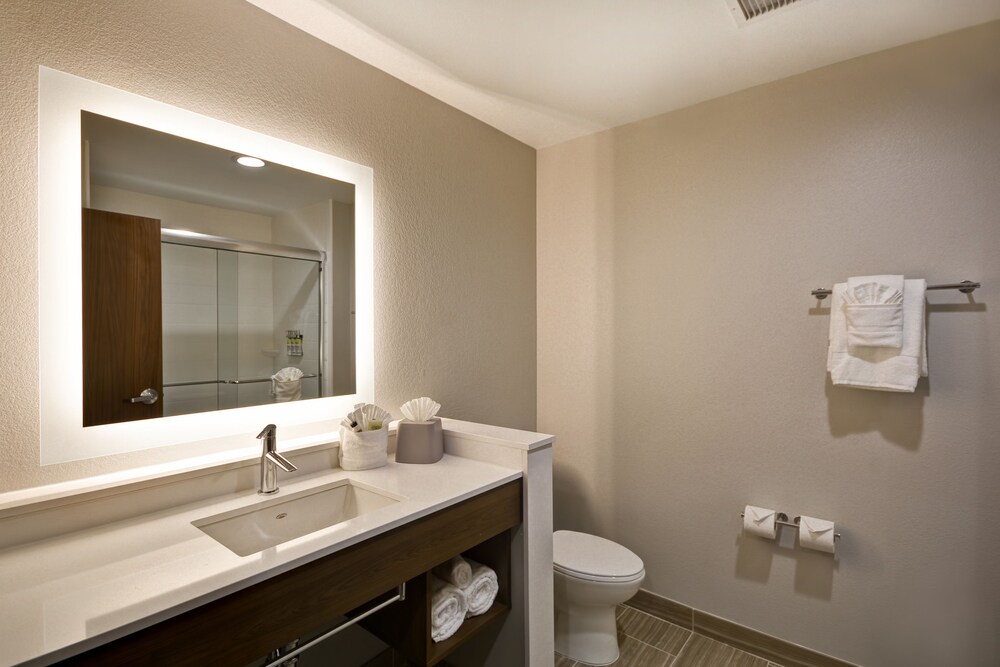 Holiday Inn Express & Suites Houston NASA Boardwalk Area by IHG - photo 19