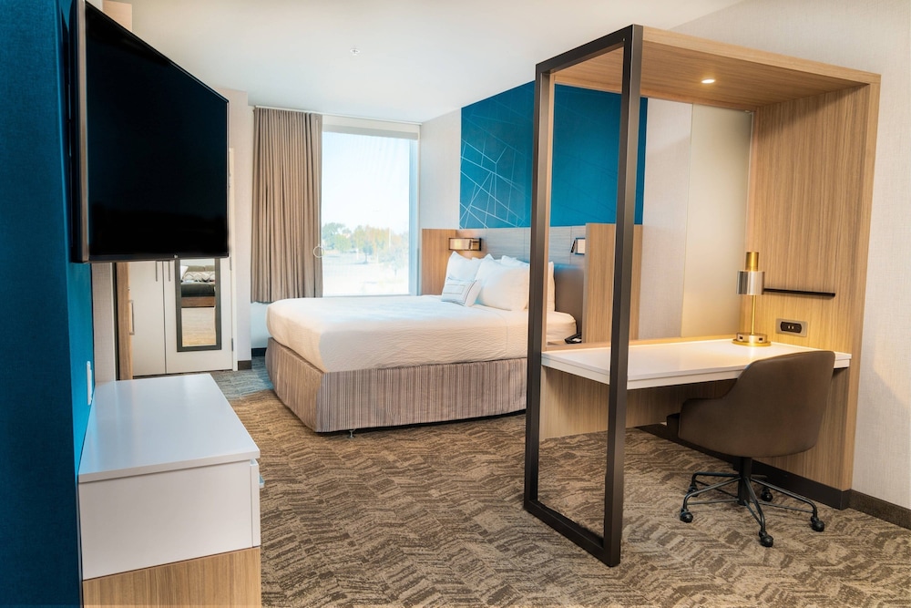 SpringHill Suites by Marriott Newark Fremont - photo 10