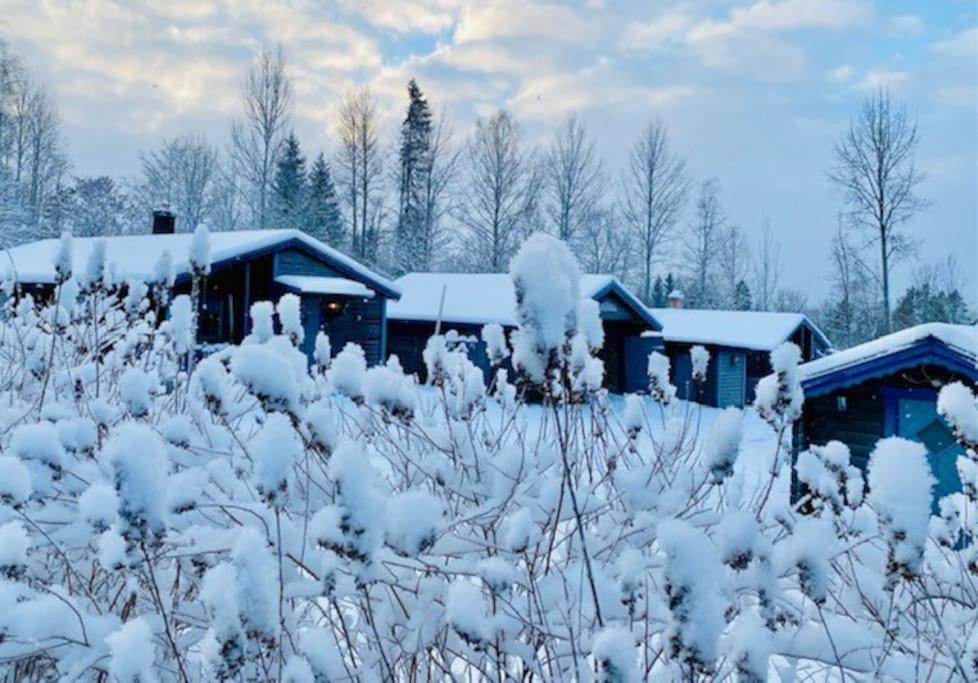 StugaNäraKungsberget mysig stuga med kamin grillkåta och vedbastu — Ockelbo — photo 2