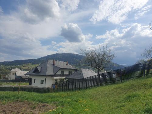 Mușata New — Vama — photo 5