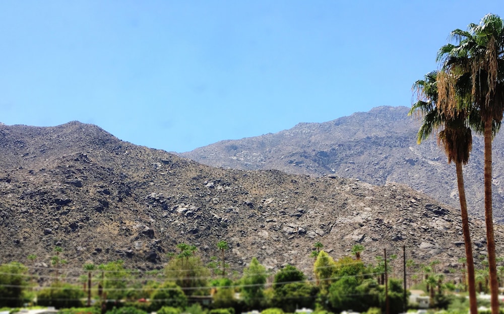 Delos Reyes Palm Springs - photo 40