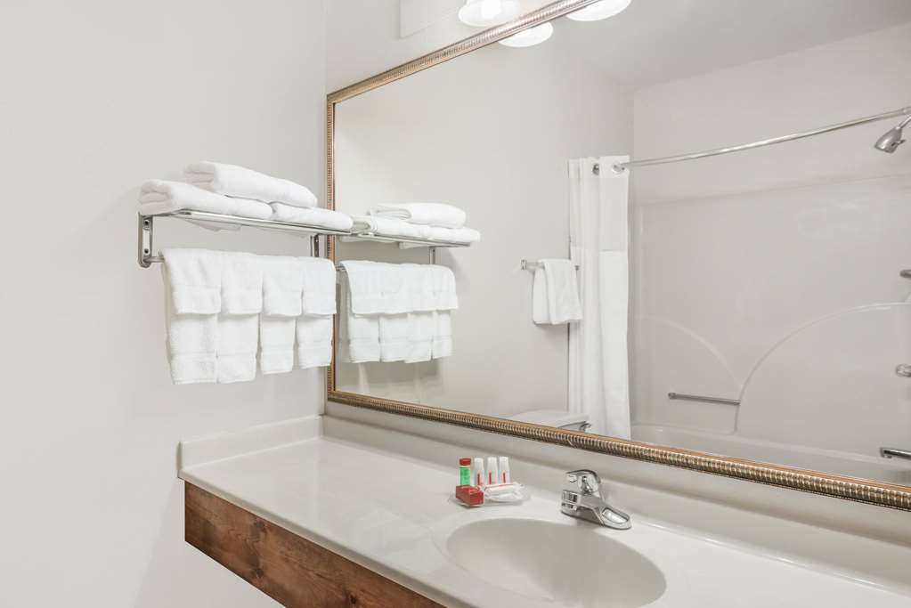 Ramada by Wyndham Columbia - photo 14