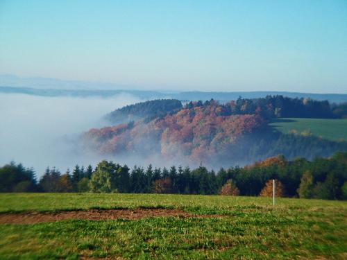 Haus Schlageter — Hochenschwand — photo 5