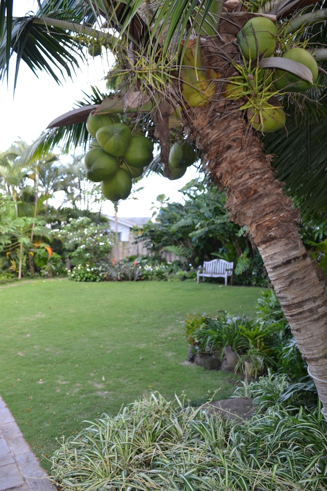 The Old Wailuku Inn at Ulupono - photo 54