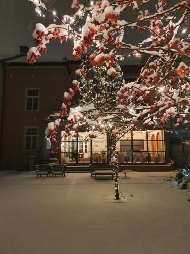 Nest — Gyor — photo 4