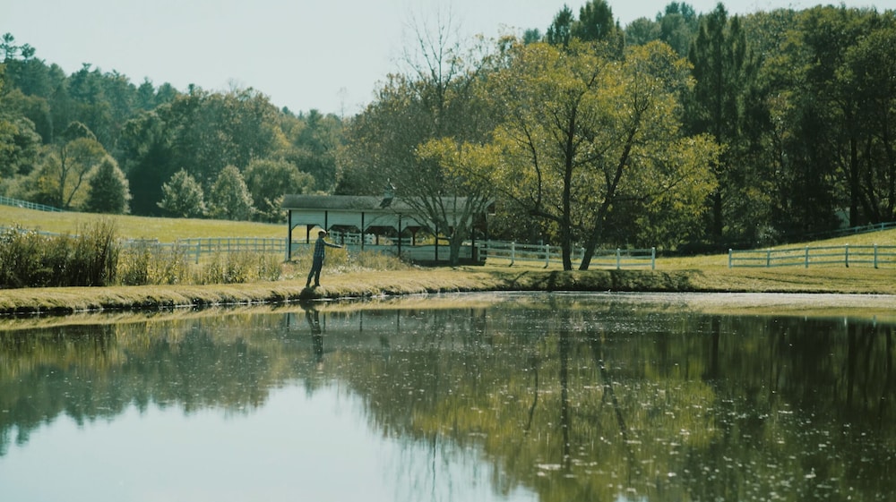 The Horse Shoe Farm - photo 41